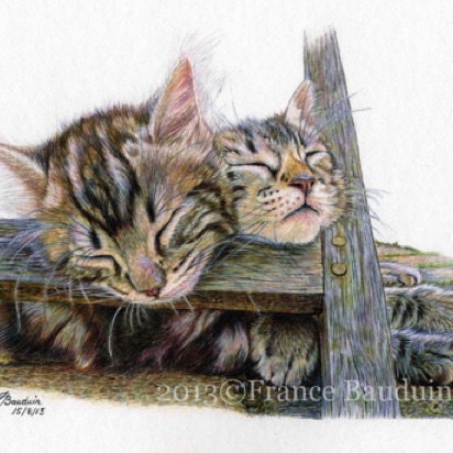 Sleepy Heads
White Cartridge Paper
6" x 9"
Gold & Silver (Laila's first litter)